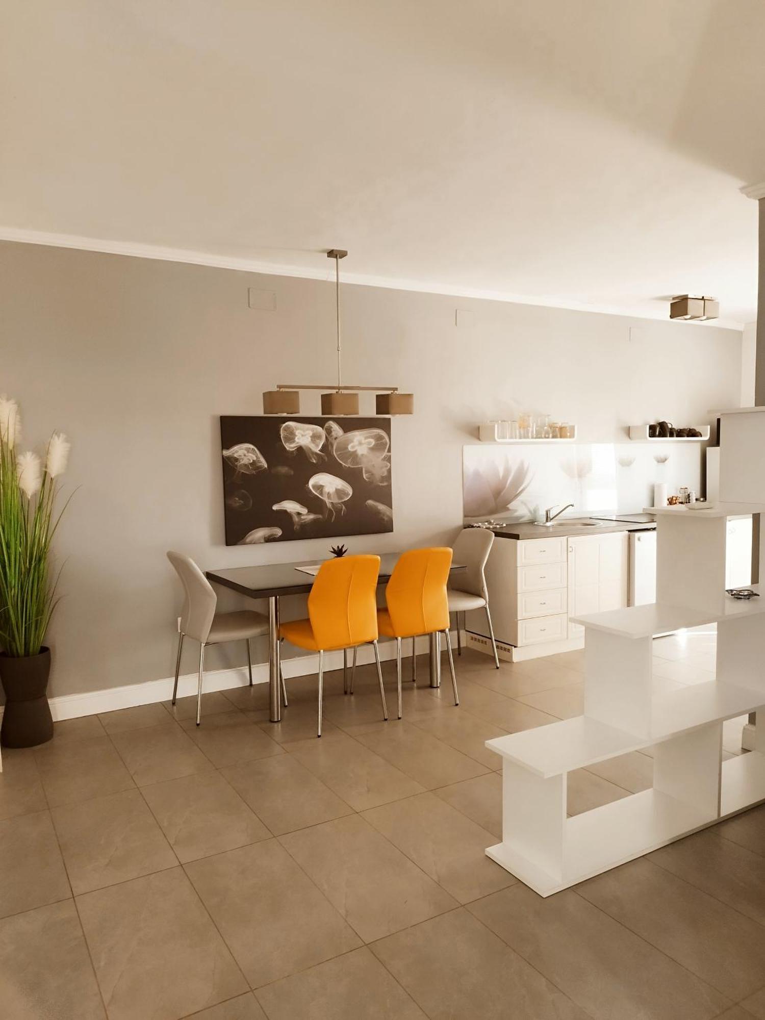 Apartments Merlin Novigrad Istria 客房 照片