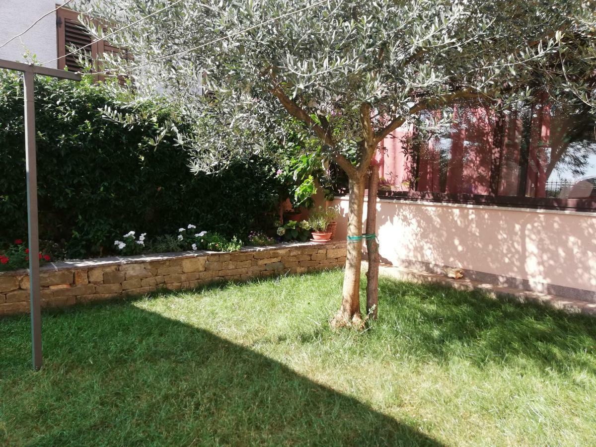 Apartments Merlin Novigrad Istria 外观 照片