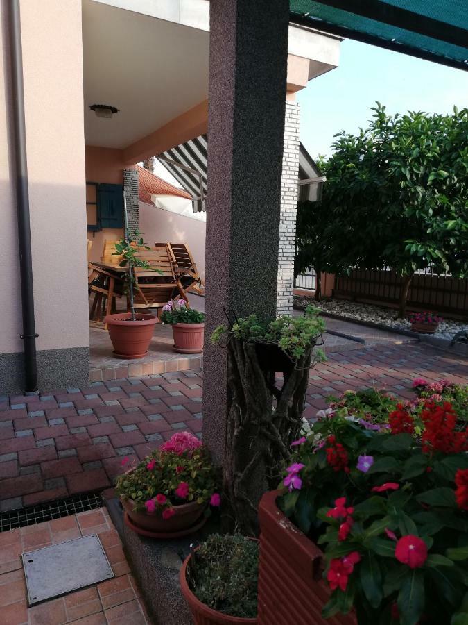 Apartments Merlin Novigrad Istria 外观 照片